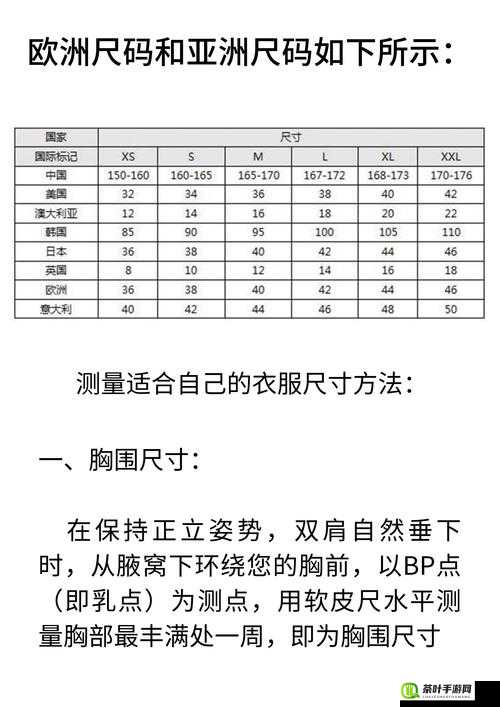 亚码 l 与欧码 l 的区别究竟为何：全面解析亚码 l 与欧码 l 的不同之处