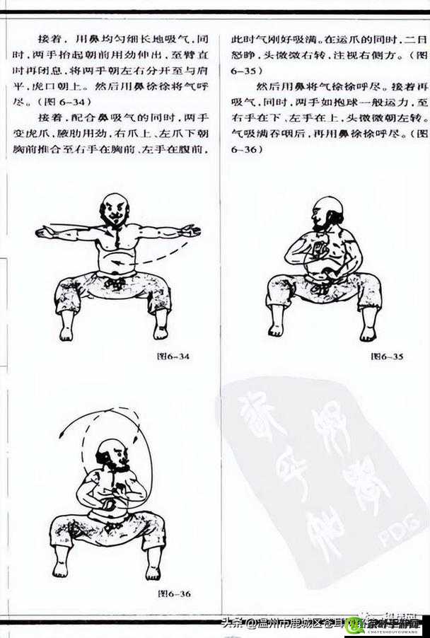 少林一阶二阶内功属性在游戏资源管理中的详细作用与深度解析